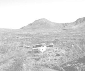 Flower Power 4x4 se dankie